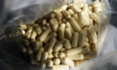 saaudee.com - imagem.pixabay