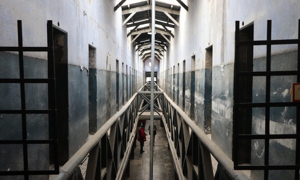 saaudee.com - imagem.pixabay