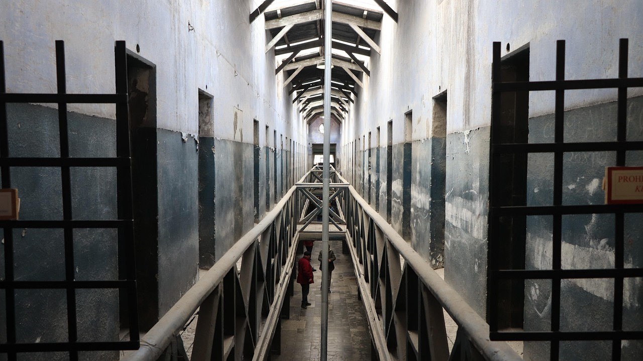 saaudee.com - imagem.pixabay