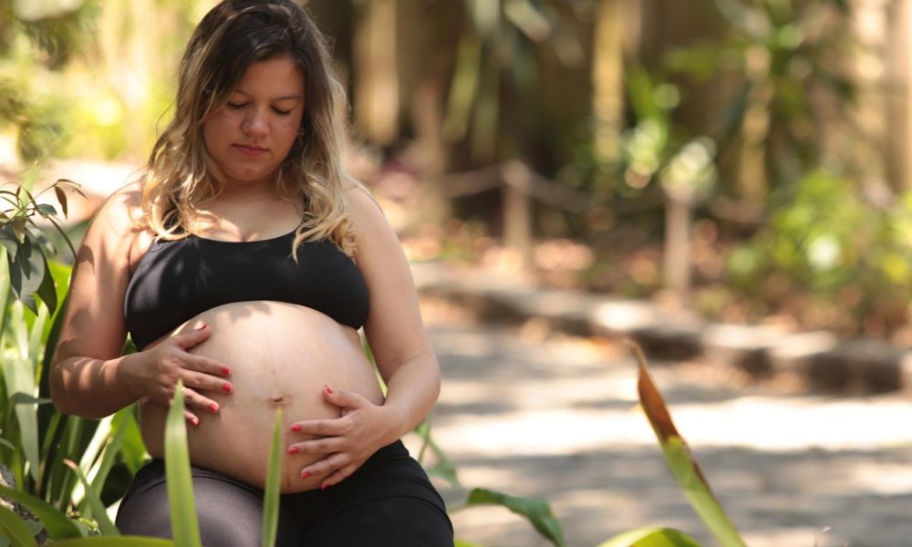 saaudee.com - imagem.pixabay