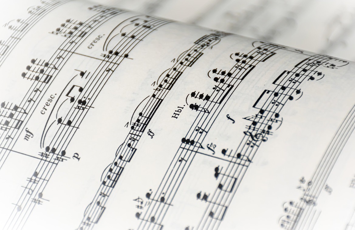 saaudee.com - imagem.pixabay