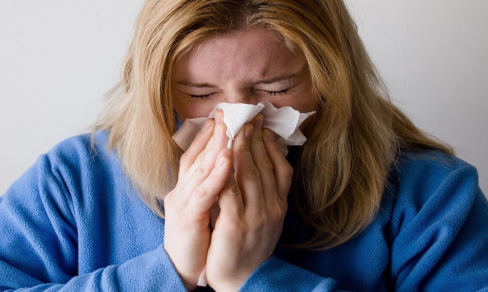 saaudee.com - imagem.pixabay