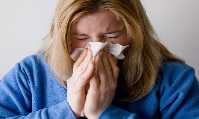 saaudee.com - imagem.pixabay