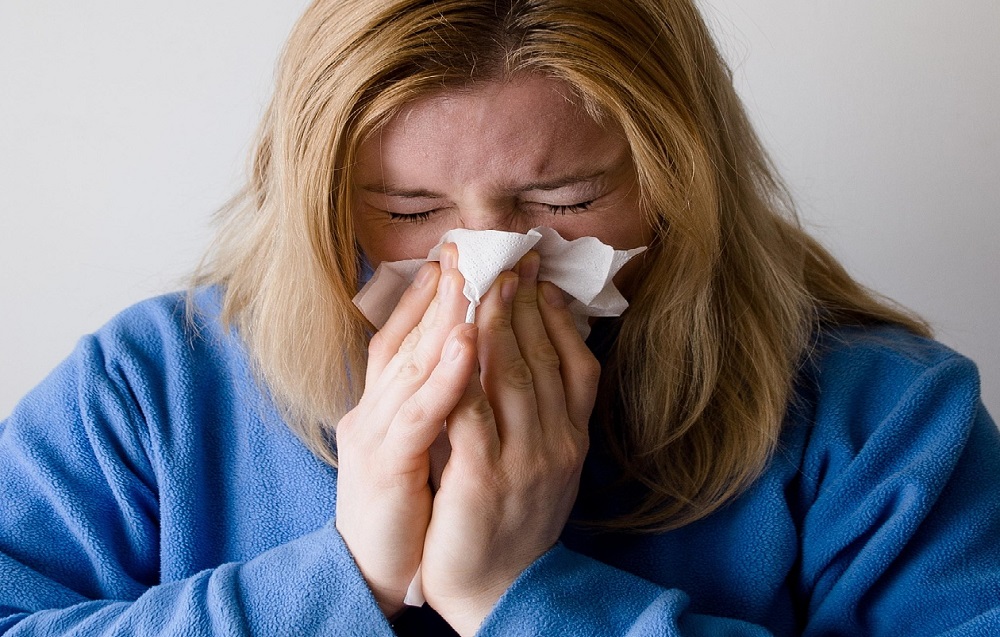 saaudee.com - imagem.pixabay