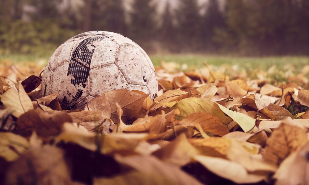 saaudee.com - imagem.pixabay