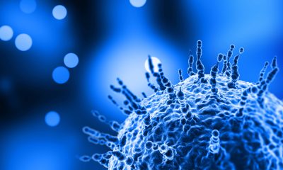 saaudee.com - imagem.freepik