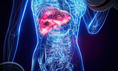 saaudee.com - imagem.freepik