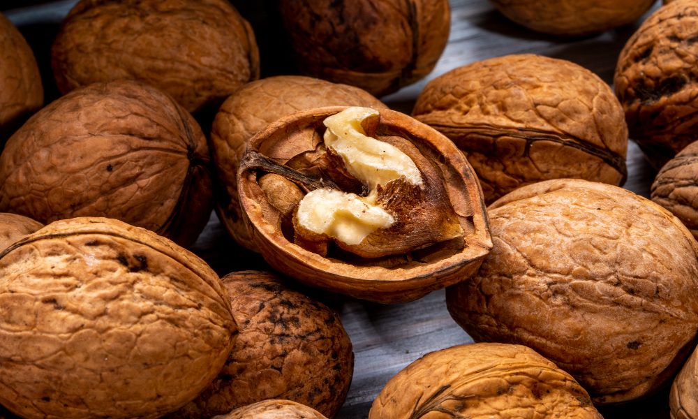 saaudee.com - imagem.freepik