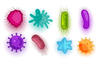 saaudee.com - imagem.freepik