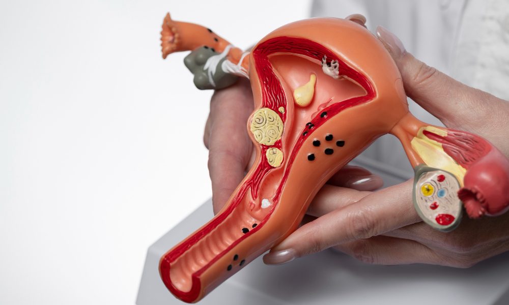 saaudee.com - imagem.freepik