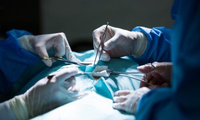 saaudee.com - imagem.freepik