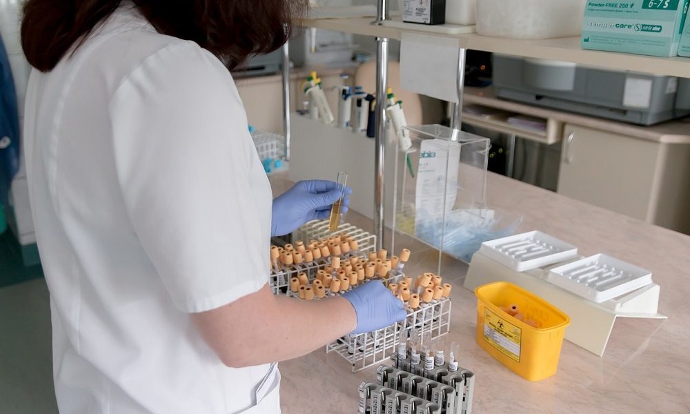 saaudee.com - imagem.pixabay