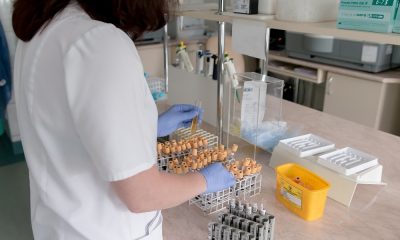 saaudee.com - imagem.pixabay