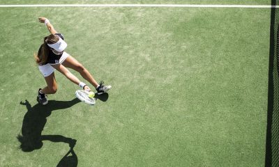 saaudee.com - imagem.pixabay