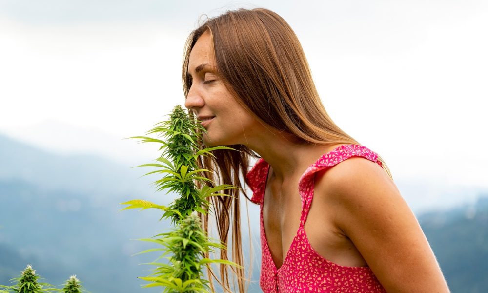 saaudee.com - imagem.pixabay