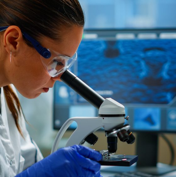 saaudee.com - imagem.freepik