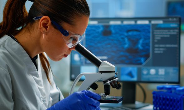 saaudee.com - imagem.freepik