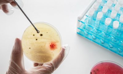 saaudee.com - imagem.freepik