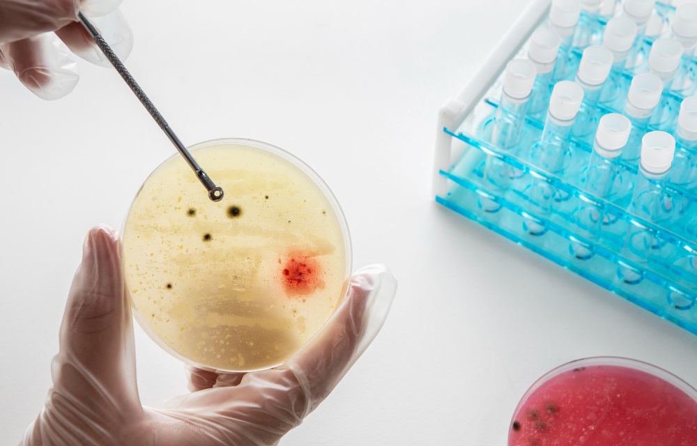 saaudee.com - imagem.freepik