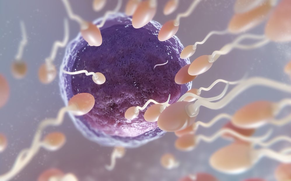 saaudee.com - imagem.freepik