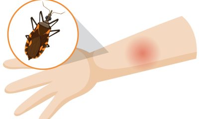 saaudee.com - imagem.freepik