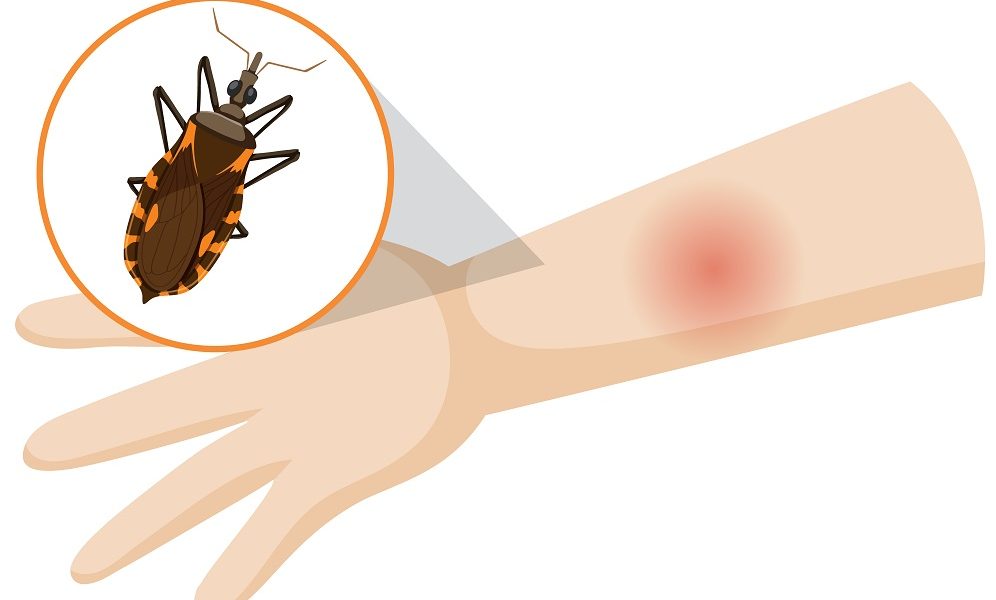 saaudee.com - imagem.freepik